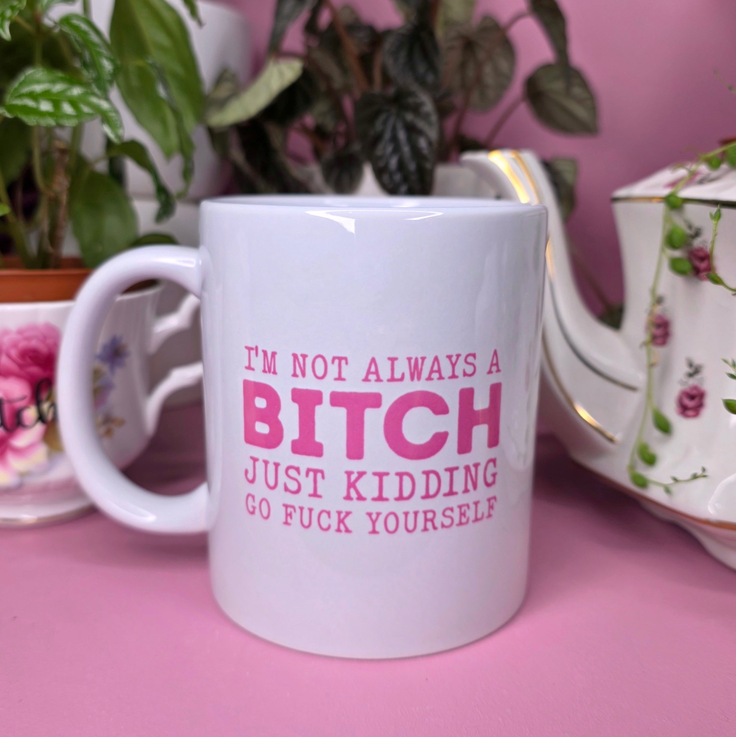 I'm Not Always A Bitch