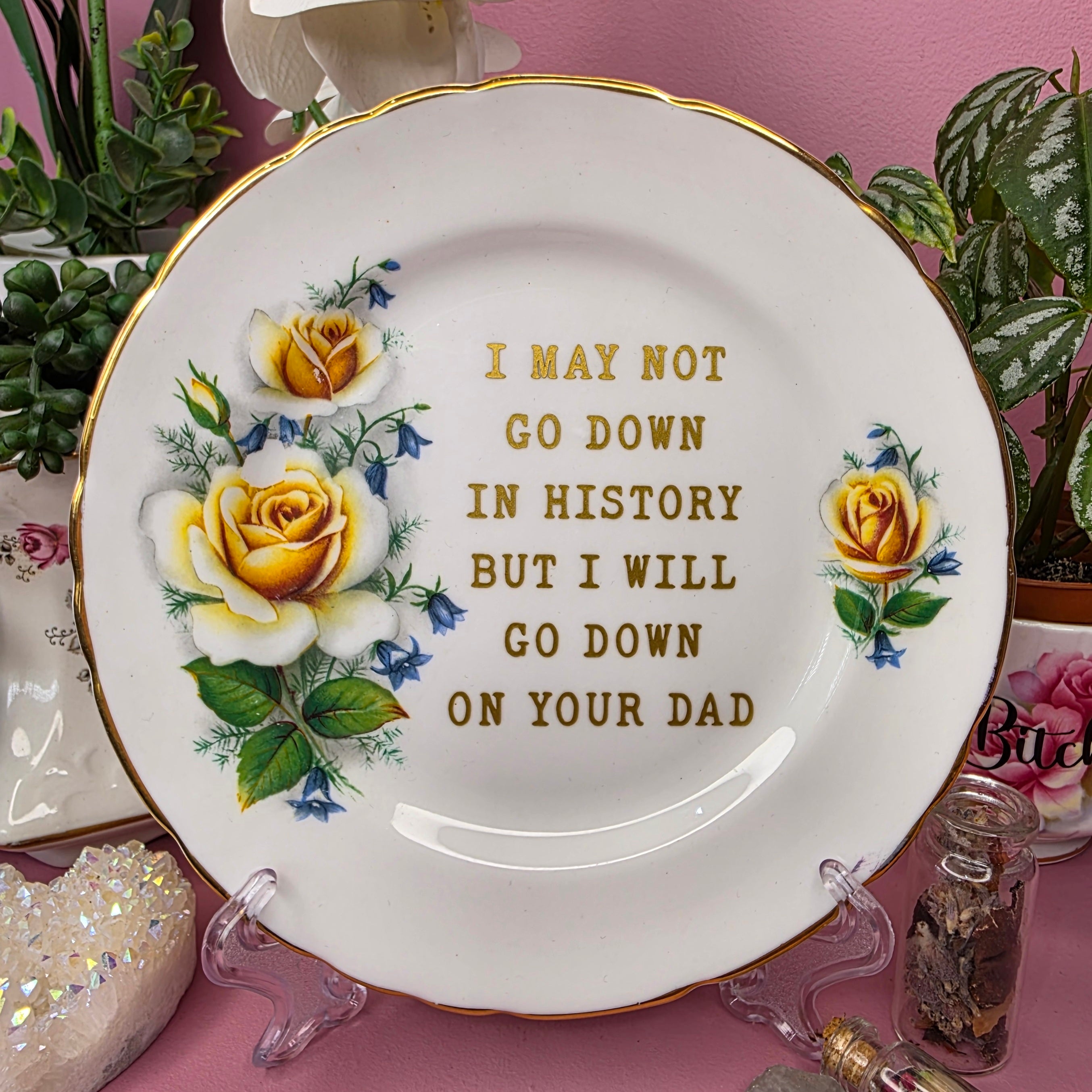 I May Not Go Down In History