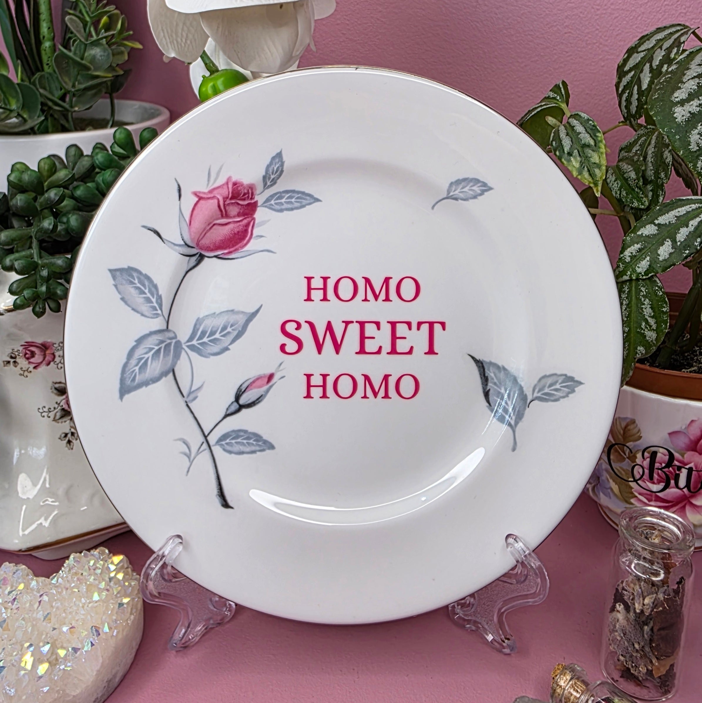 Homo Sweet Homo