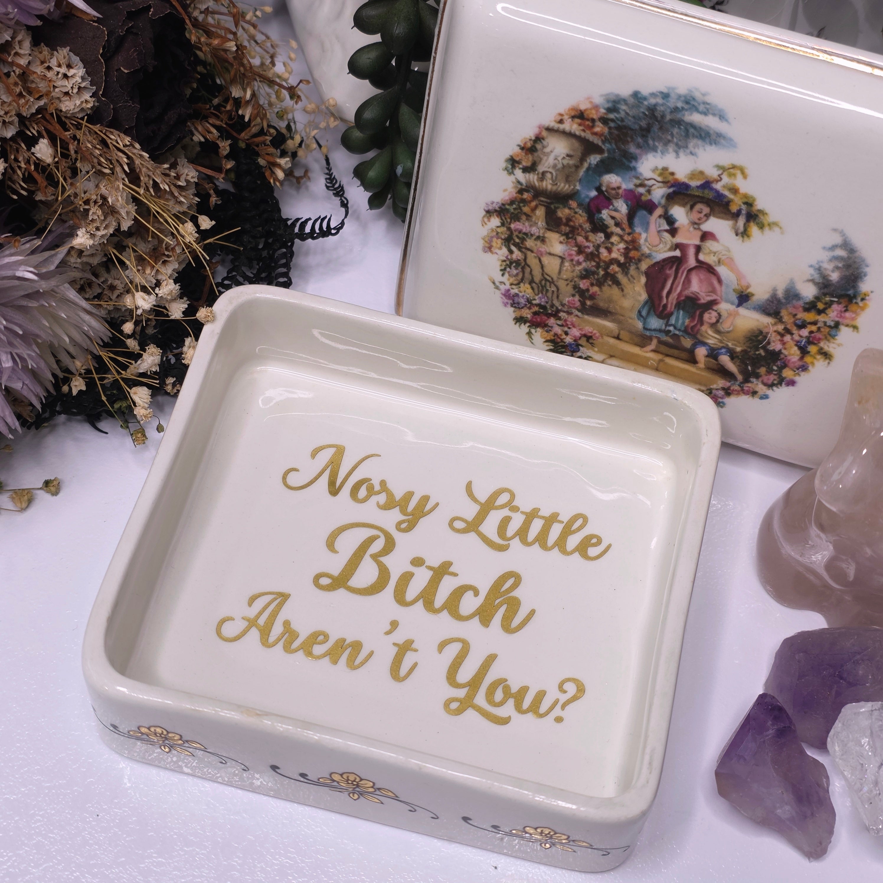 Nosy Little Bitch Aren't You?