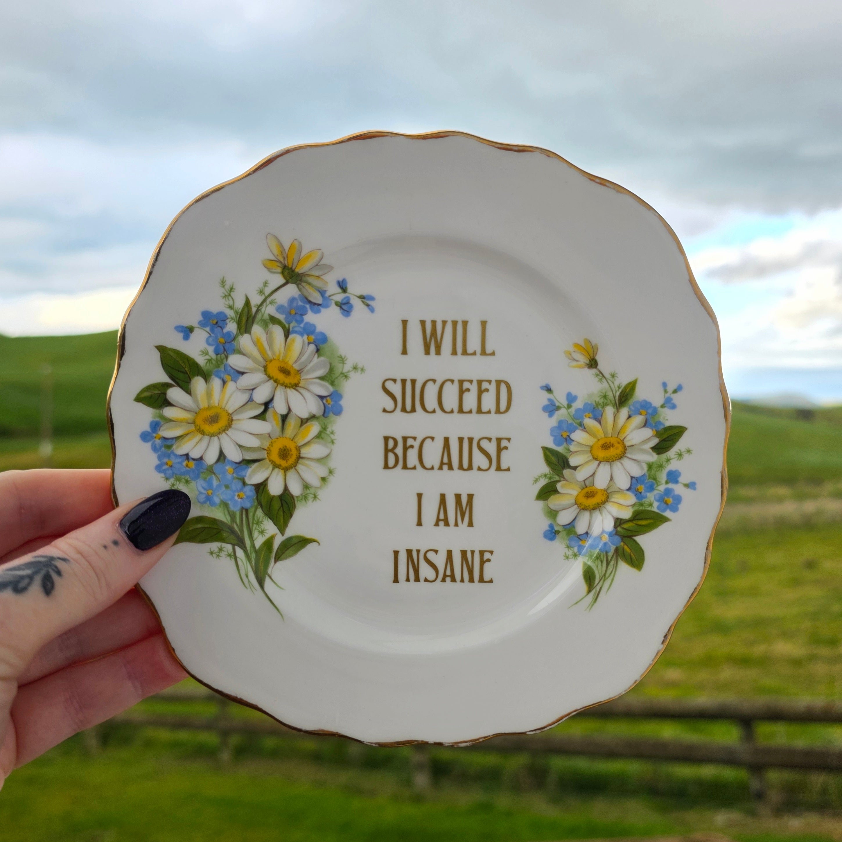 I Will Succeed