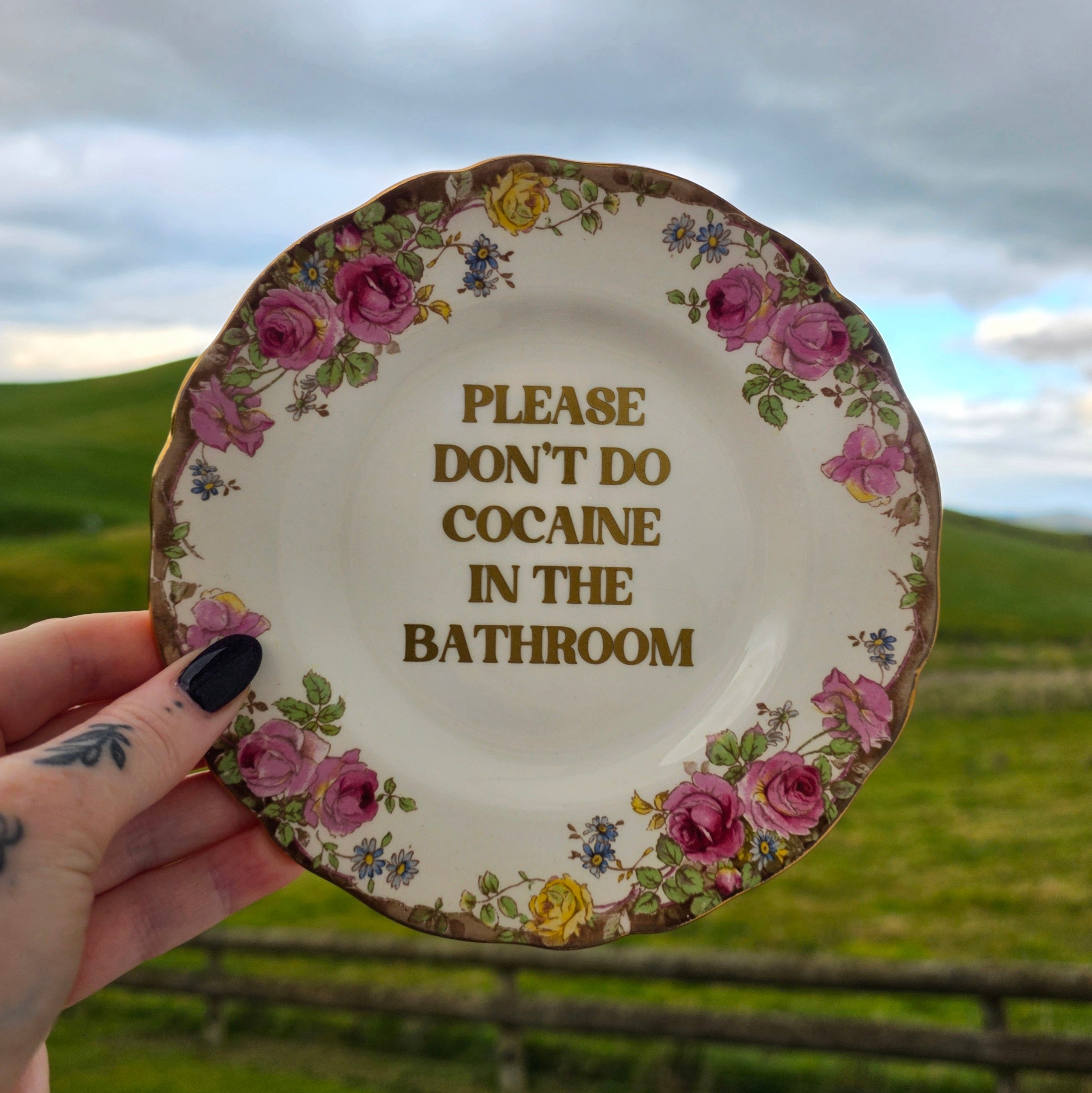 Please Don't Do Cocaine