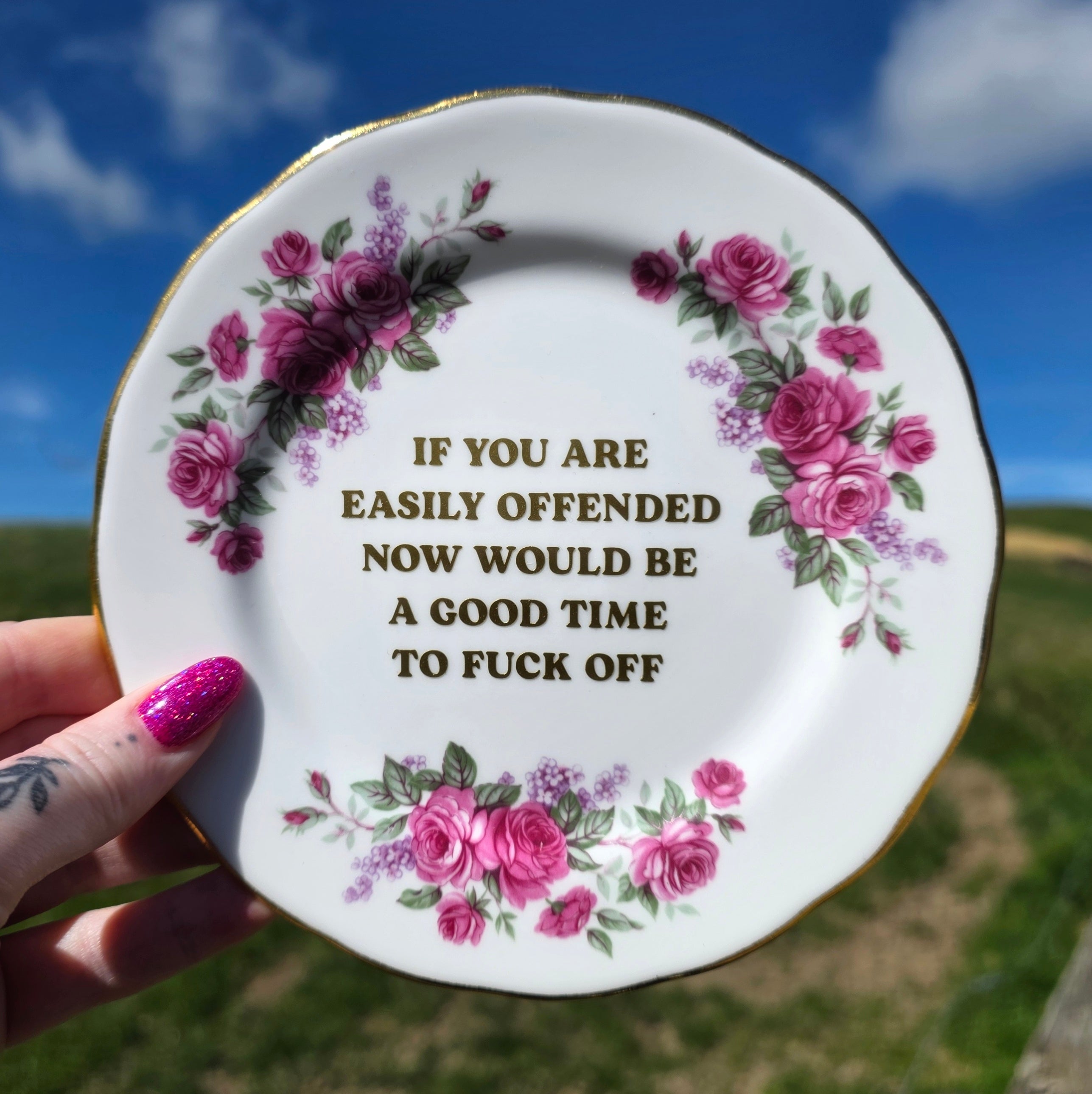 If You Are Easily Offended