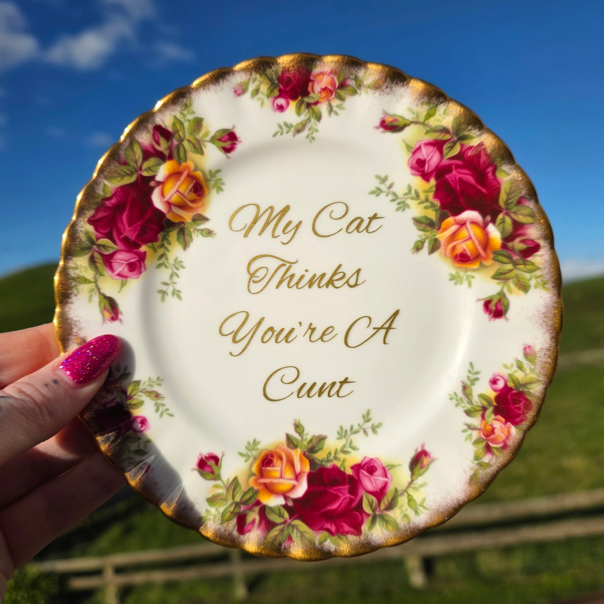My Cat Thinks You're A Cunt