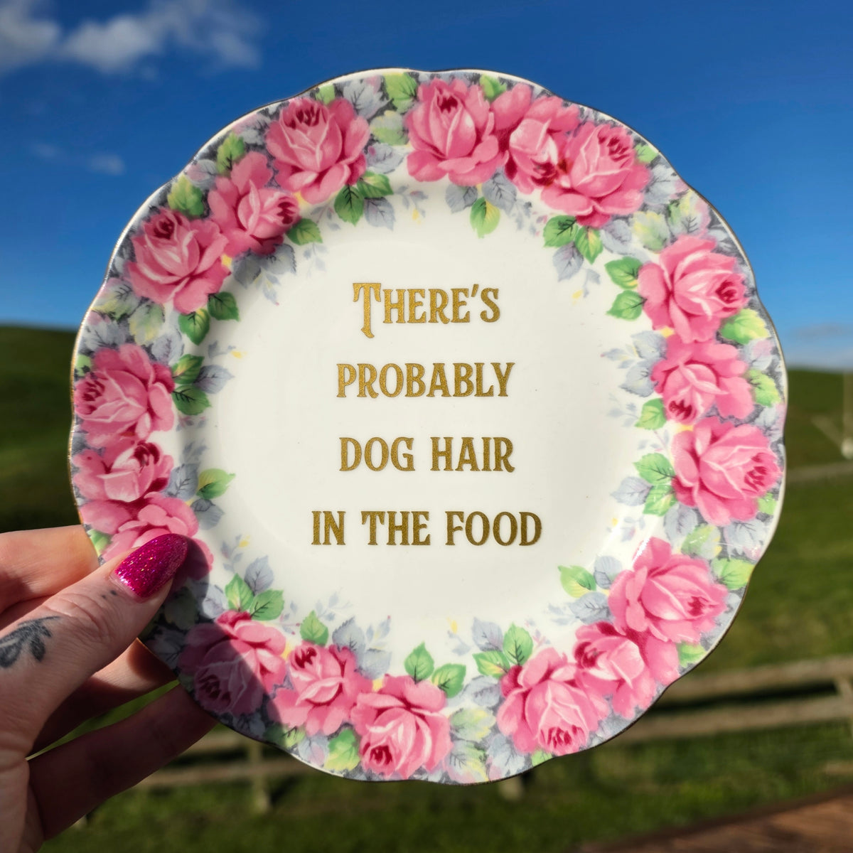 There's Probably Dog Hair