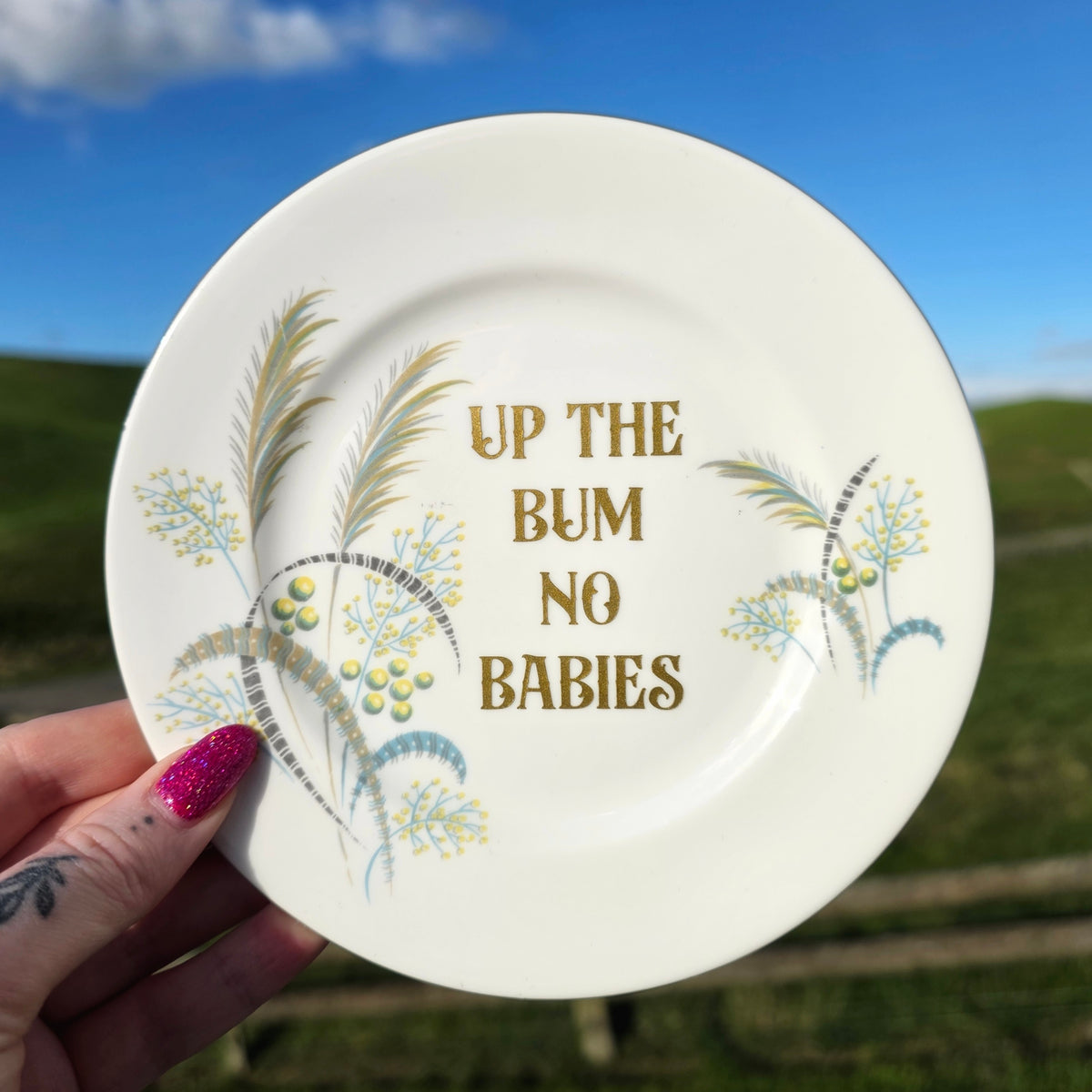 Up The Bum No Babies