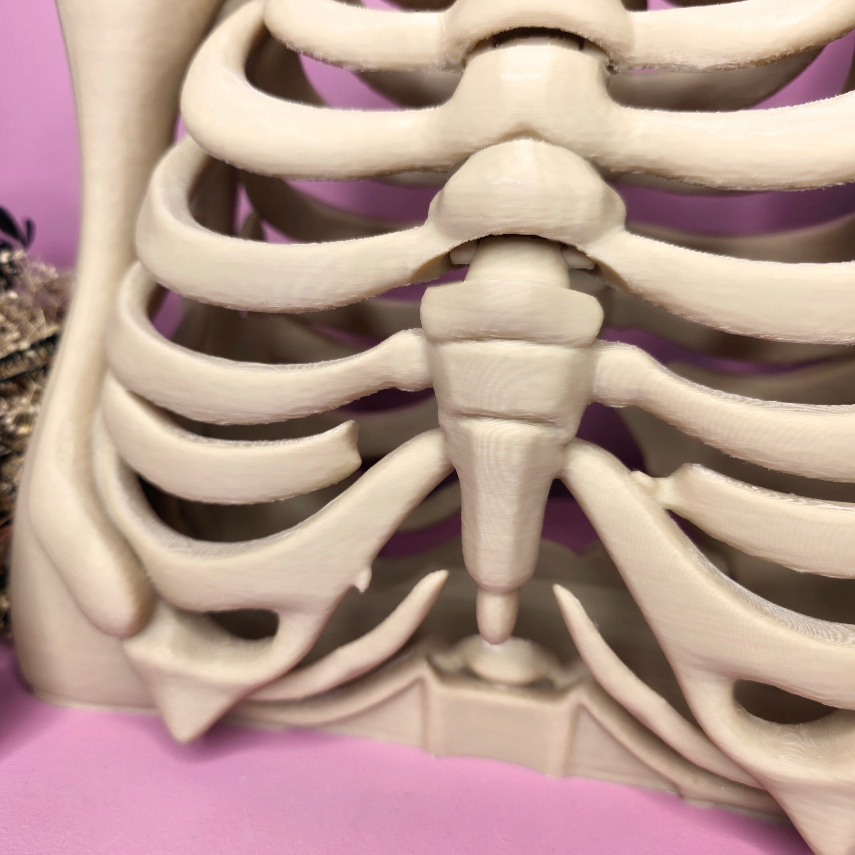 Bone Collector Bag